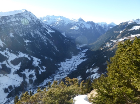 View from Bussalp